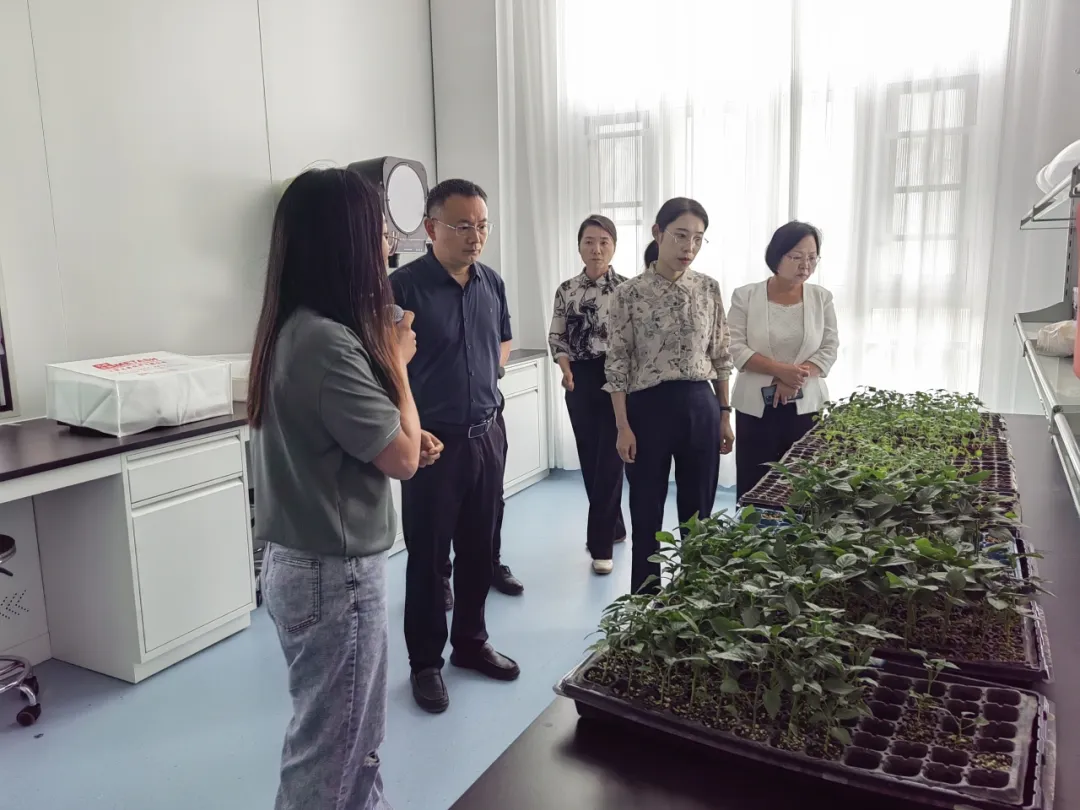 金乡县委副书记李小雪来集团调研