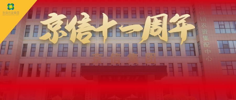 峥嵘历程十一载，同心同德创