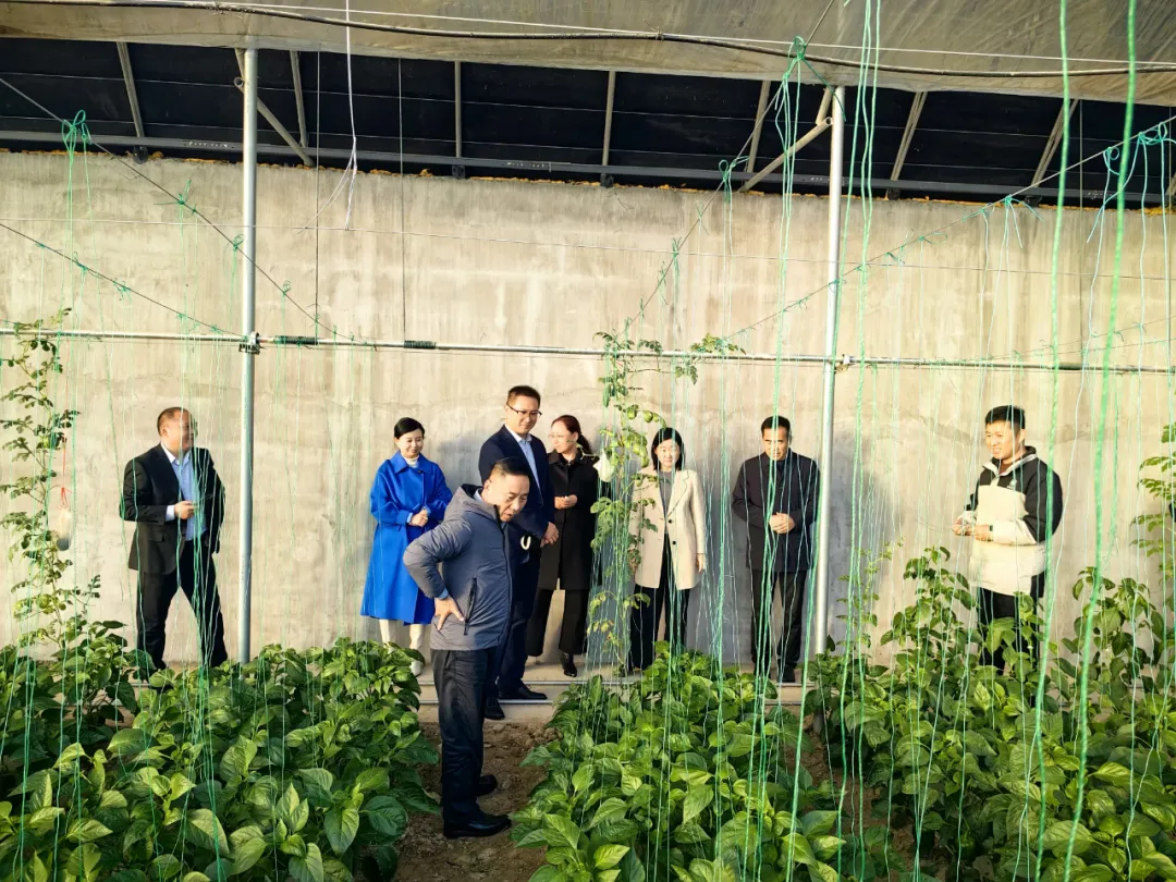 省审计厅宣教中心主任郑茂霞一行到集团调研