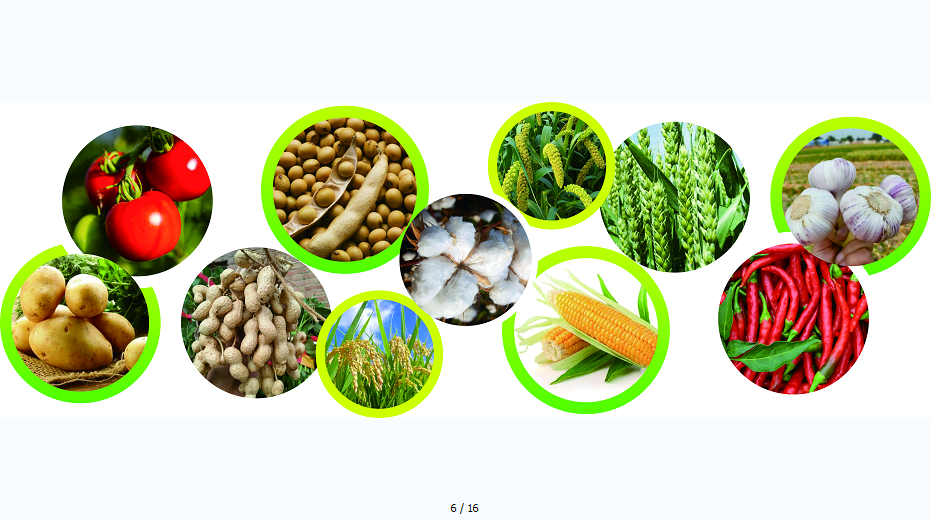 如何利用农业生产托管提升农业生产力？