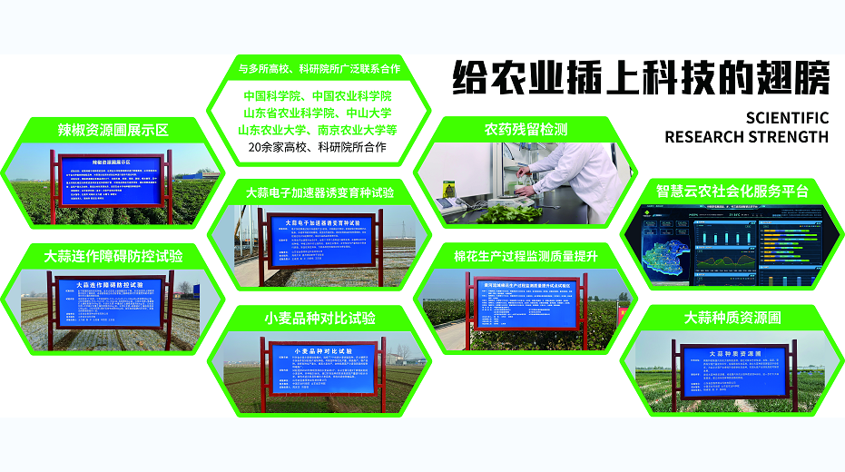 仓储的功能是什么？主要包含哪些服务？